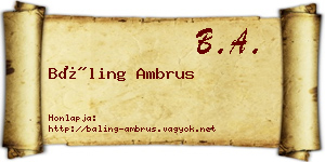 Báling Ambrus névjegykártya